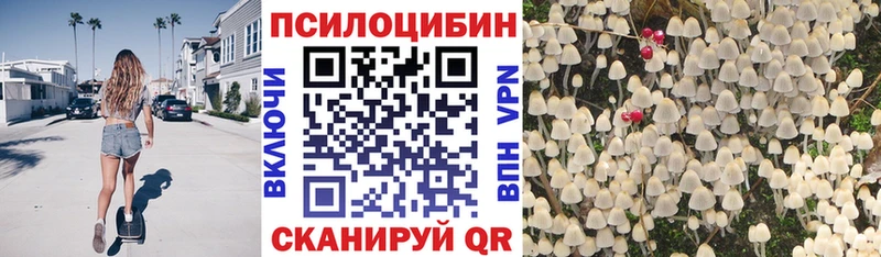 Галлюциногенные грибы Psilocybine cubensis  kraken зеркало  Хилок 